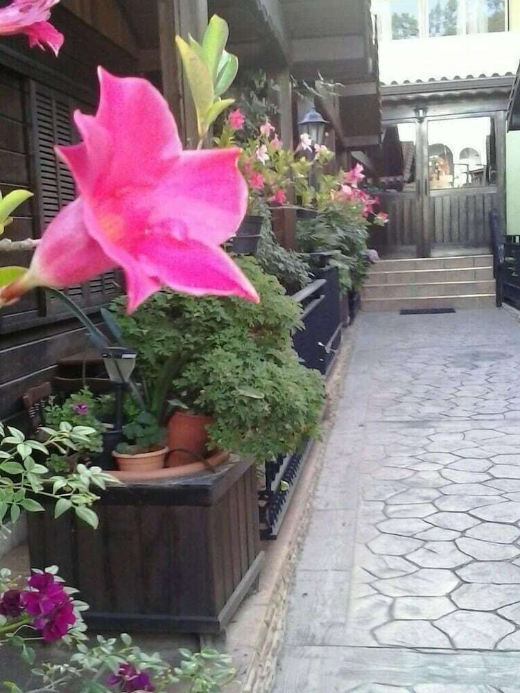 Bed & Breakfast Caba�as Valle Verde