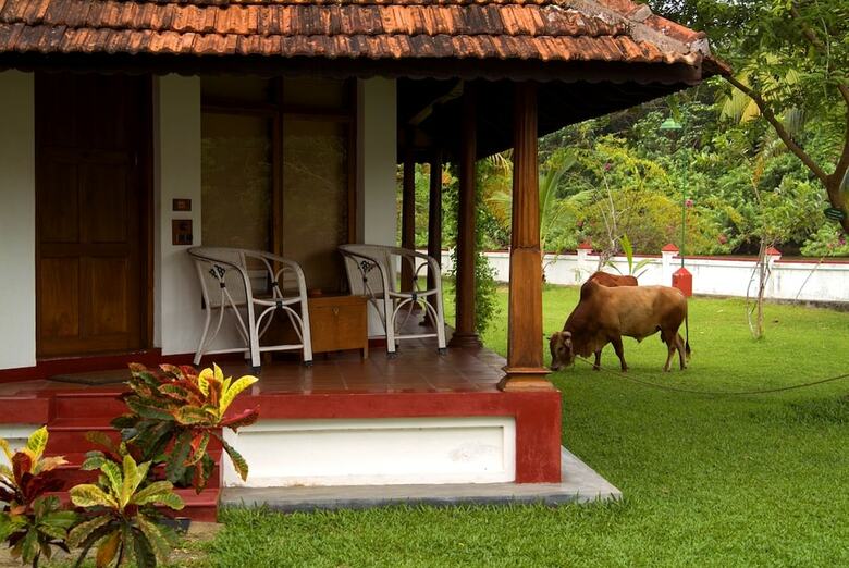 Hotel Coconut Lagoon-cgh Earth