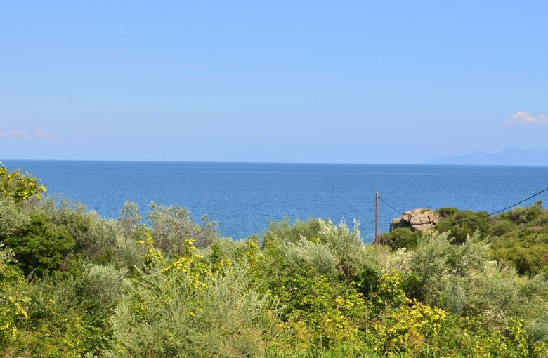Villa Siesta