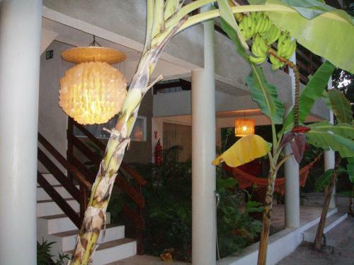 Hostal Suites Vida Sol