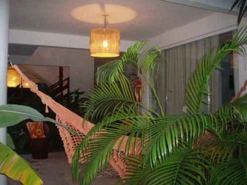 Hostal Suites Vida Sol
