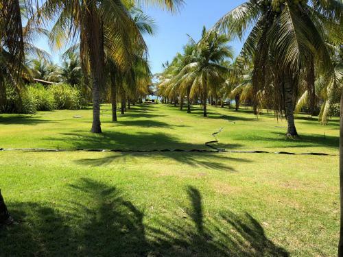 Villas Tatur�
