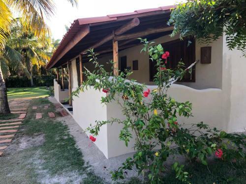 Villas Tatur�