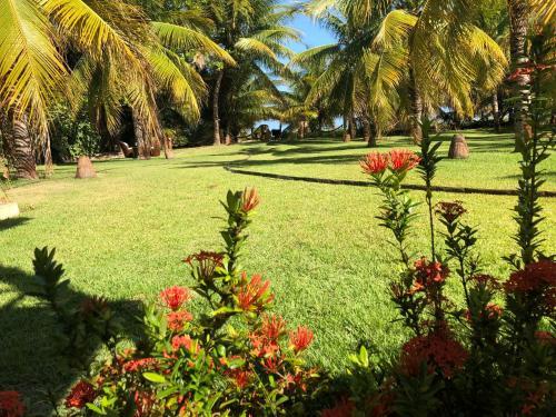 Villas Tatur�