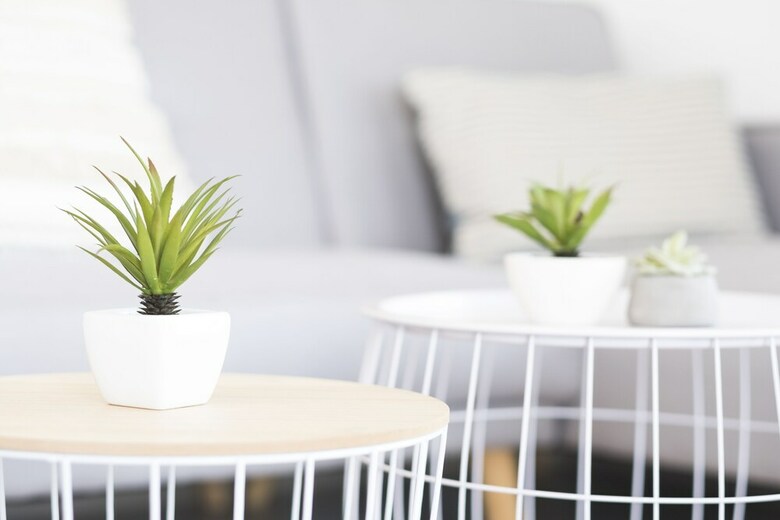 Apartamento Lakeview Oasis