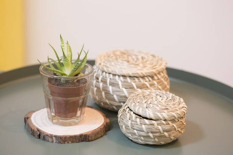 Apartamento Tree House Oasis