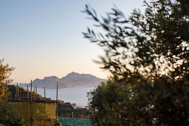 Il Nido Del Gabbiano