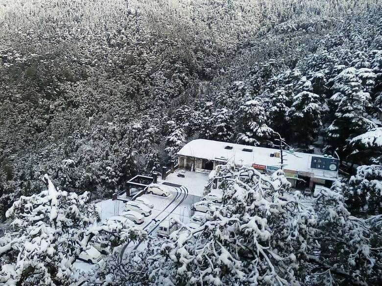 Hotel Asian Plaza Mcleodganj