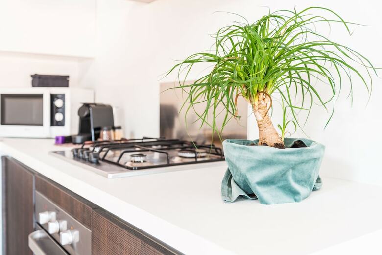 Apartamento Murano Place