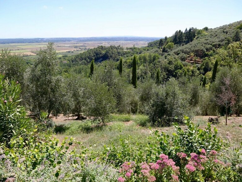 Villa Frantoio Del Bartolomei