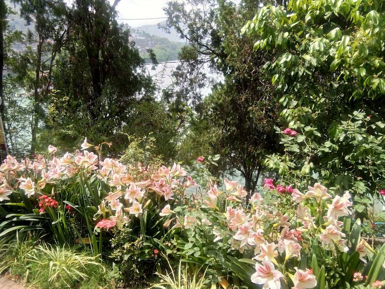 Hotel Lake Retreat Bhimtal
