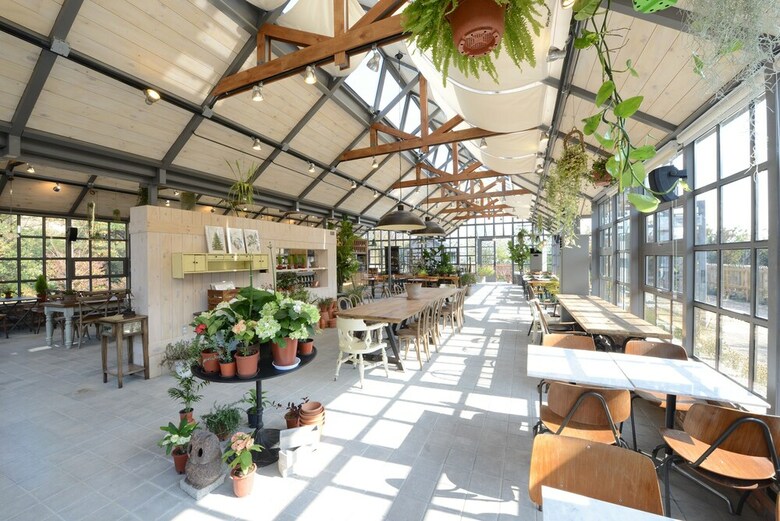 Eden Paradise Hotel