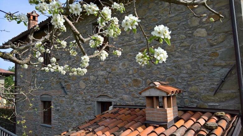 La Collina Dei Franchi