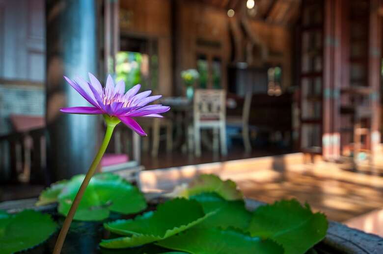 Stylish & Authentic Thai House Right On The Beach!