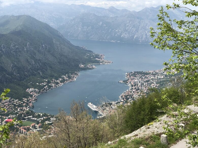 Sarenagomila