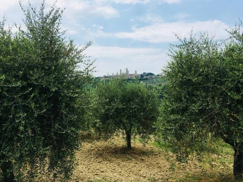 Agroturismo Agriturismo Le Rote