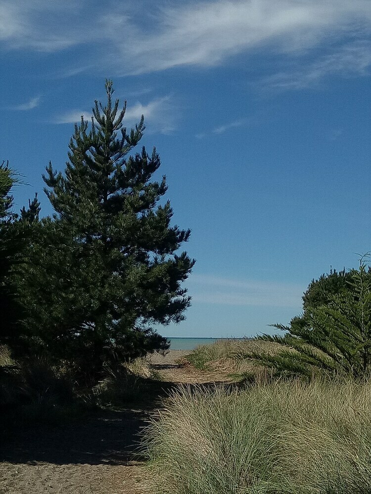 Leithfield Beach Holiday Park
