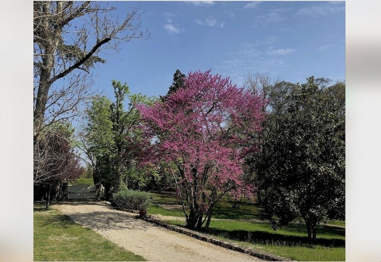 Bed & Breakfast Domaine Les Matins Rubis