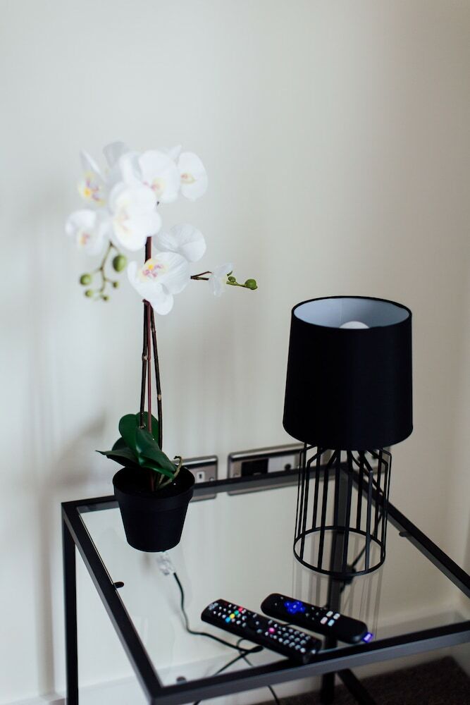 Apartamentos Modern Lap Of Luxury