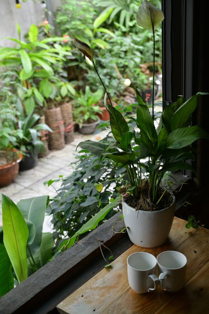 Hotel Trang An Precious Homestay