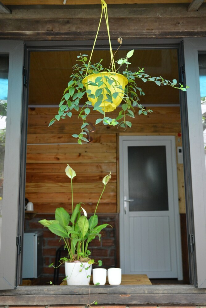 Hotel Trang An Precious Homestay