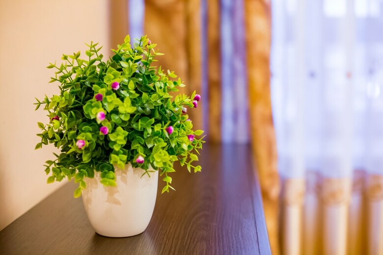 Apartamentos Three Separate Bedrooms On Square Rynok