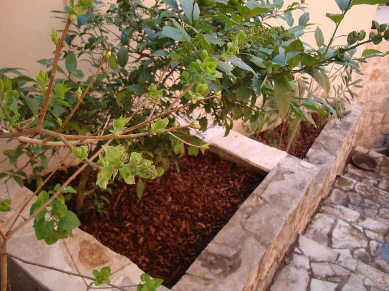 Apartamentos Villa Zvicer