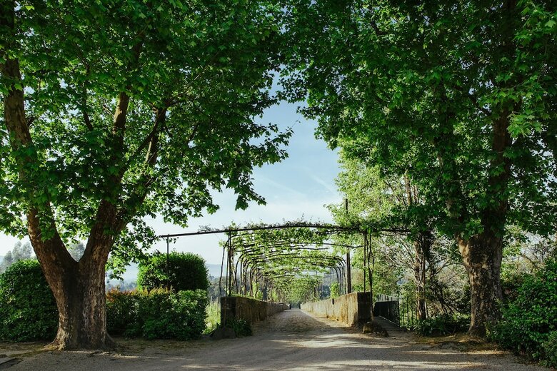 Hotel Quinta Da Bou�a D'arques - Guest House