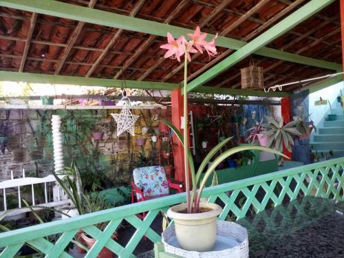 Hostel Taiba Albergue