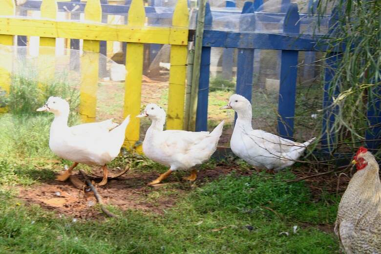Agroturismo Casale Contenti