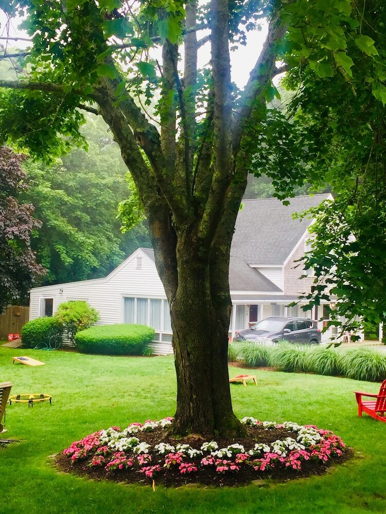Bed & Breakfast Sesuit Harbor House