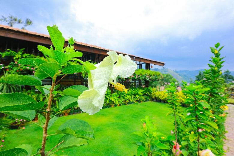 Apartamento Ella Flower Garden Resort