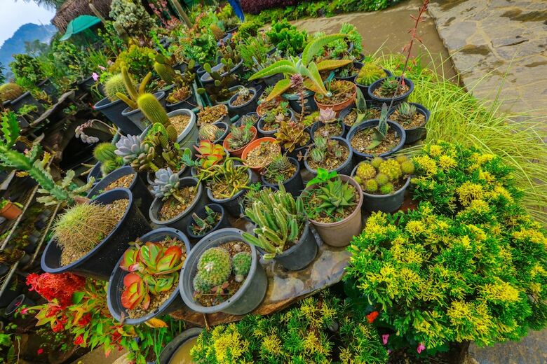 Apartamento Ella Flower Garden Resort