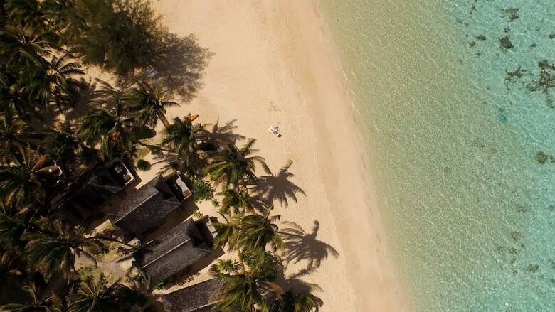 Apartamento Palm Grove