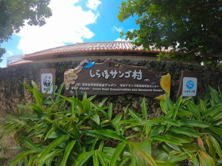 Hotel Guest House Holoholo Beach Side - Hostel
