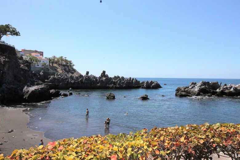Apartamentos Alcal� Plaza