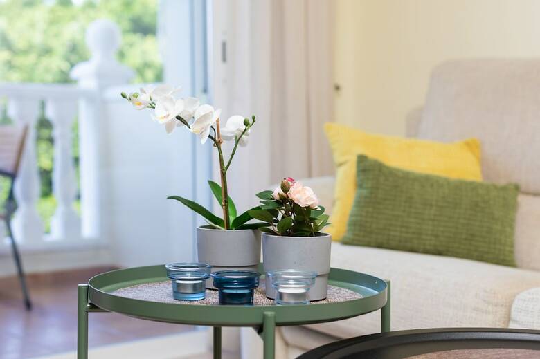 Apartamentos Alcal� Plaza