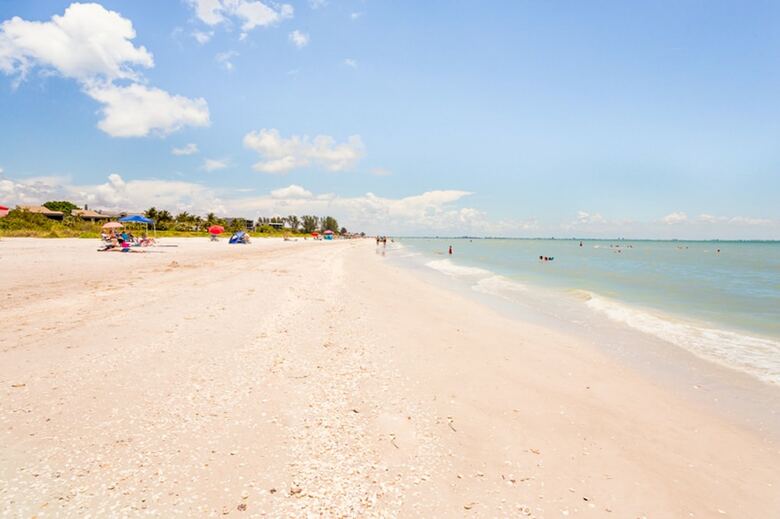 Coquina 1f