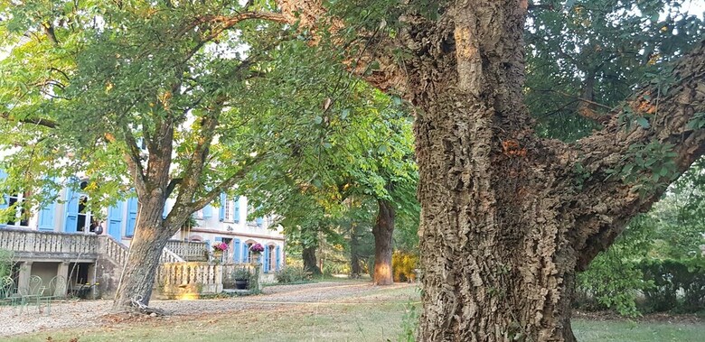 Bed & Breakfast Le Manoir Du Thouron