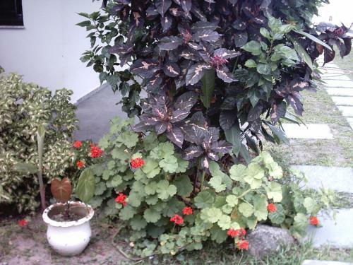 Hostal Pousada Neves Paraiso Tropical