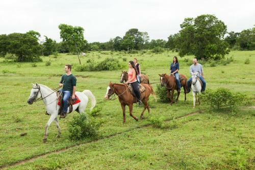 Bed & Breakfast Pousada Pequi