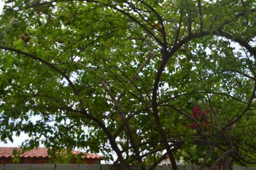 Hostal Pousada Gincoara