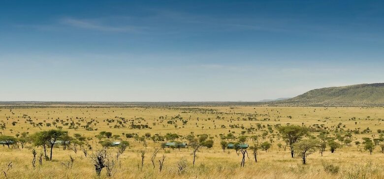 Kiota Camp