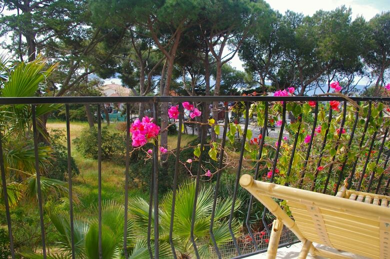 Hotel H�tel Almanarre Plage
