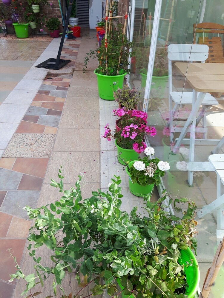 Apartamento Tranquilo En Zona Recidencial