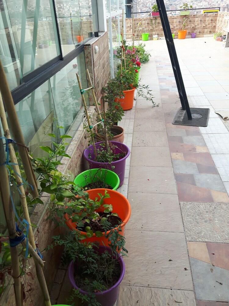 Apartamento Tranquilo En Zona Recidencial