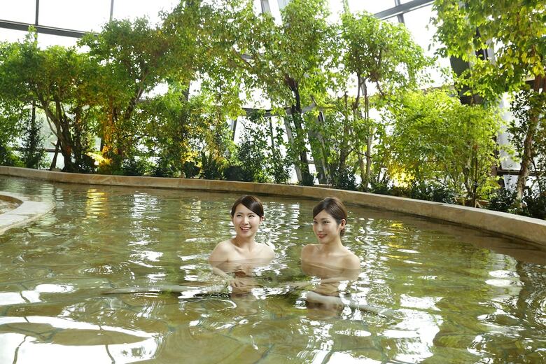 Saga Ureshino Spa Shiibasanso