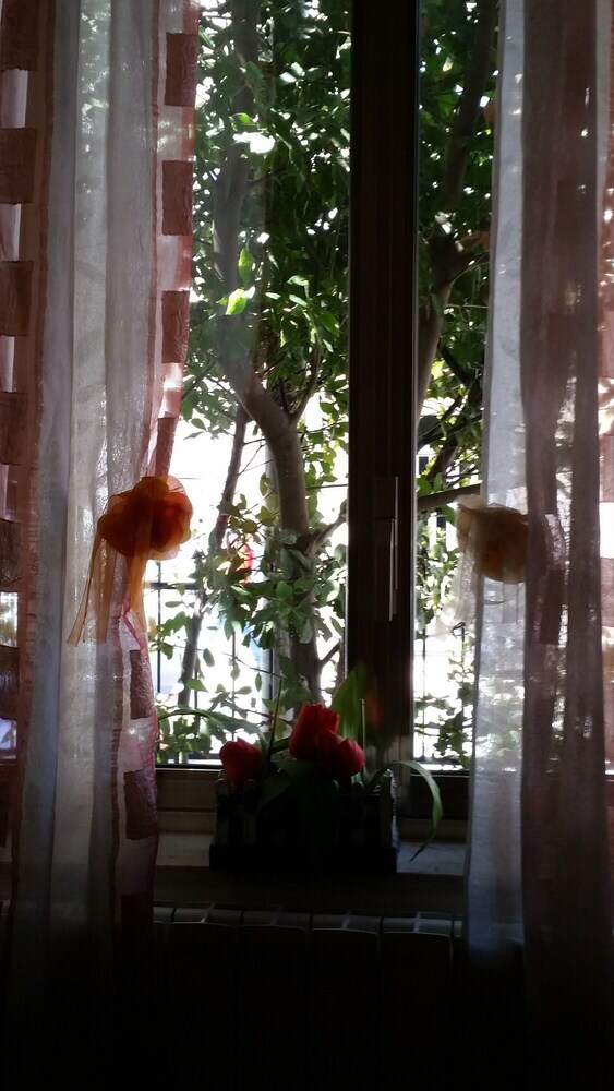 Bed & Breakfast Casa Floralia