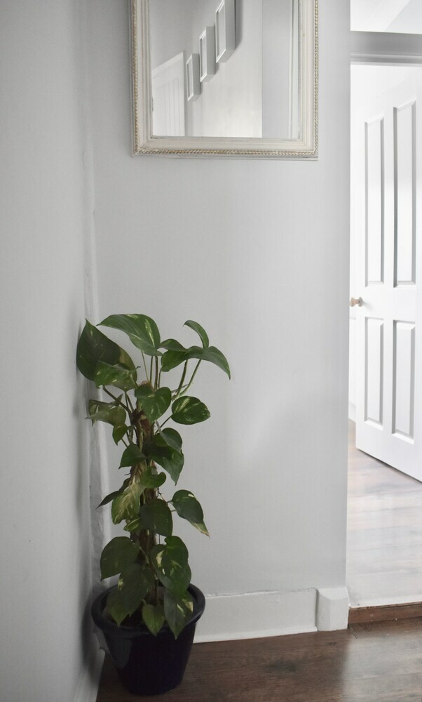 Apartamentos Cozy 1 Bedroom Home Near Central Brighton