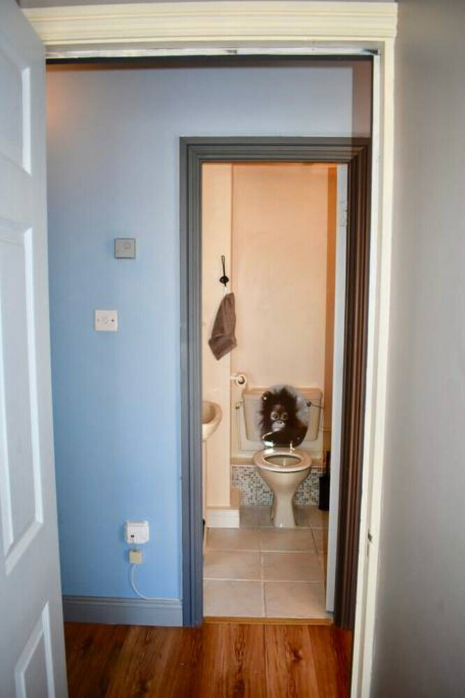 Charming 1 Bedroom Apartment Heart Of Dublin